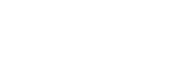Pearl Technology Logo white