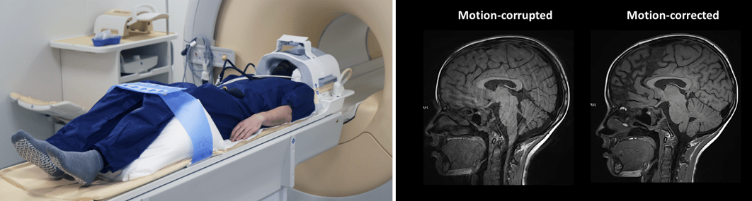 Screenshot 2026-03-31 at 13.42.56